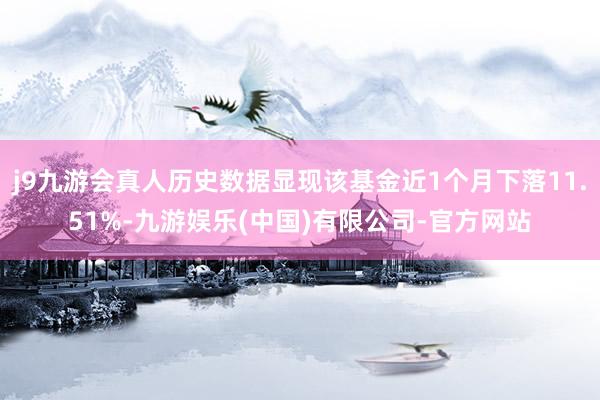 j9九游会真人历史数据显现该基金近1个月下落11.51%-九游娱乐(中国)有限公司-官方网站